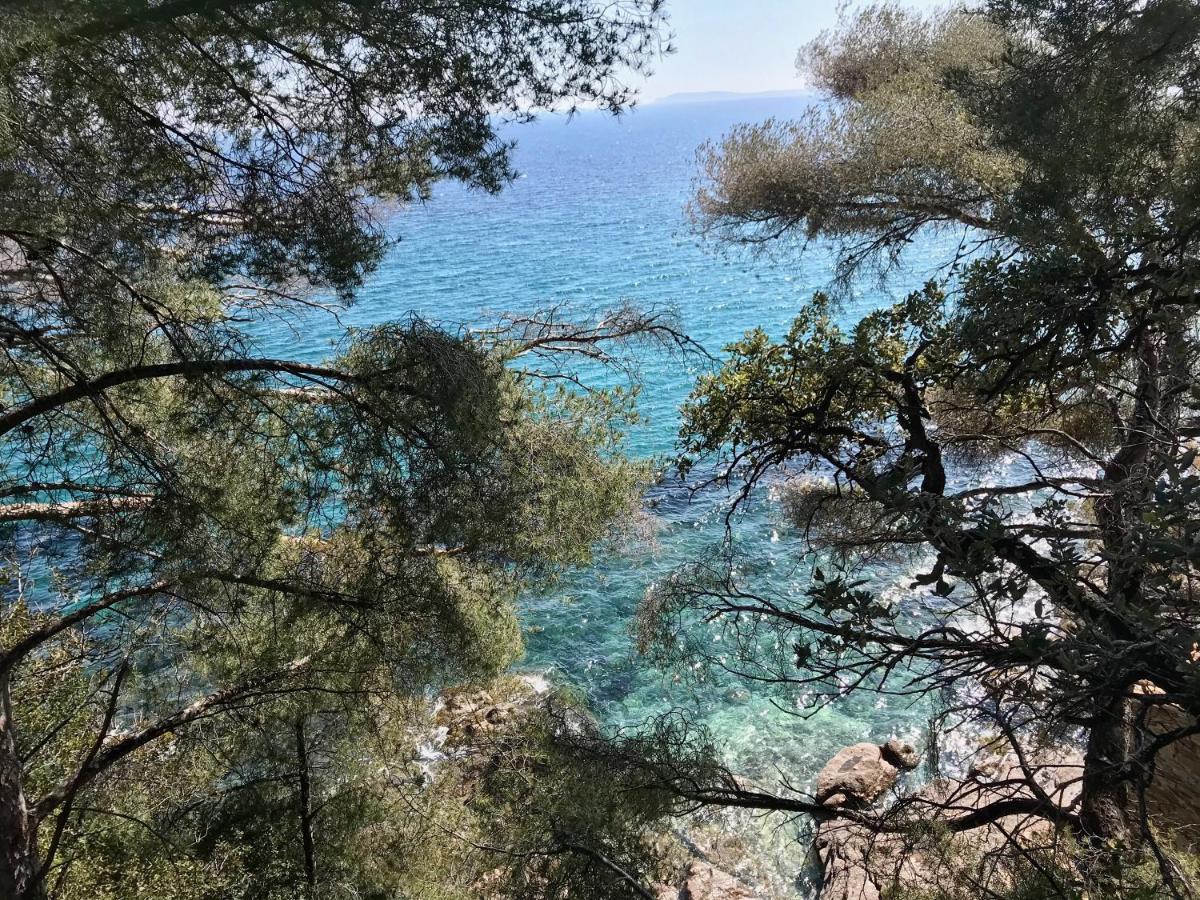 Villa Les Alizes Le Le Rayol-Canadel-sur-Mer Eksteriør bilde