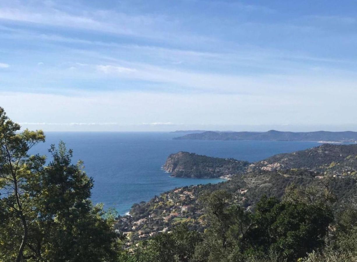 Villa Les Alizes Le Le Rayol-Canadel-sur-Mer Eksteriør bilde