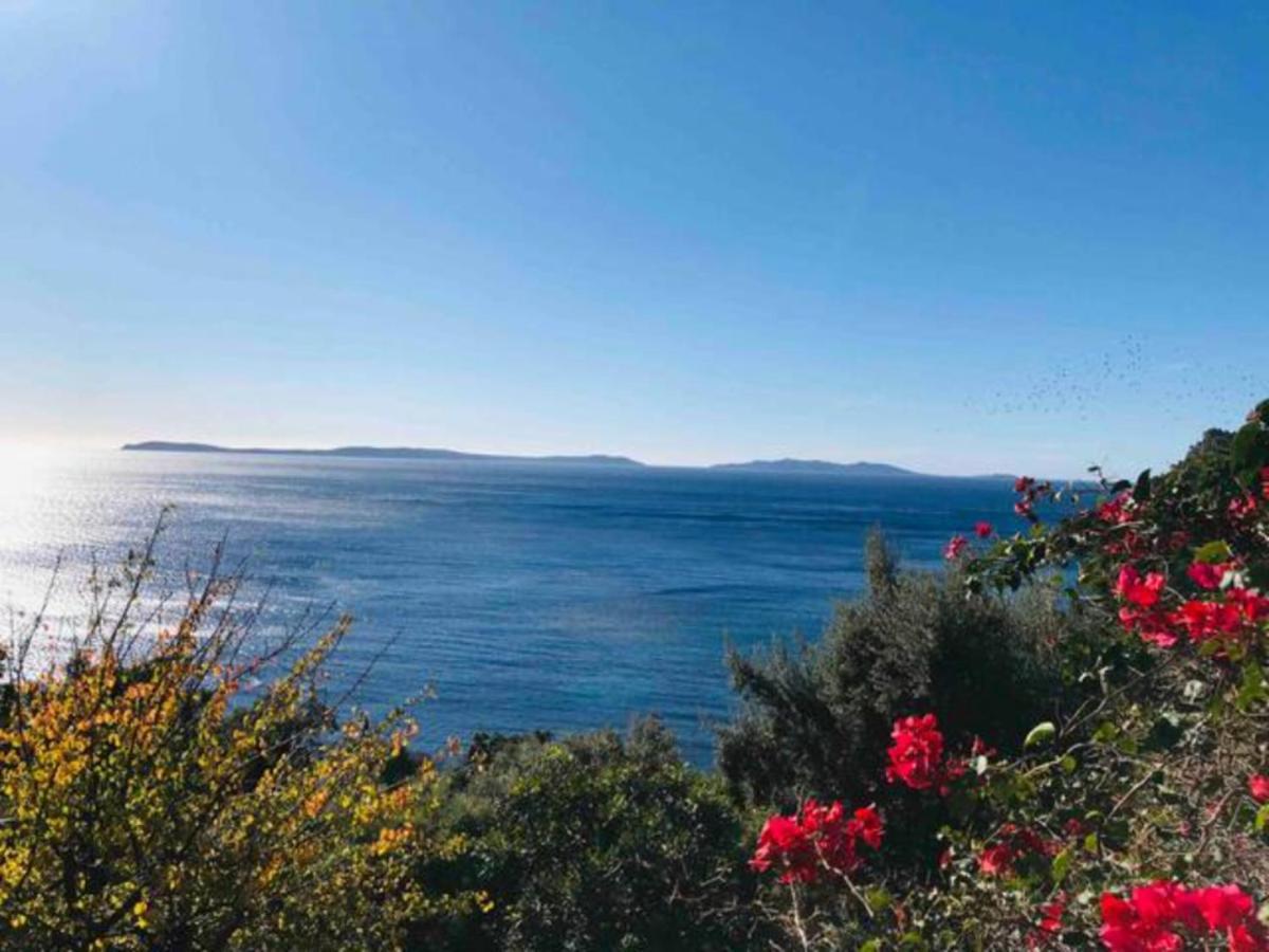 Villa Les Alizes Le Le Rayol-Canadel-sur-Mer Eksteriør bilde