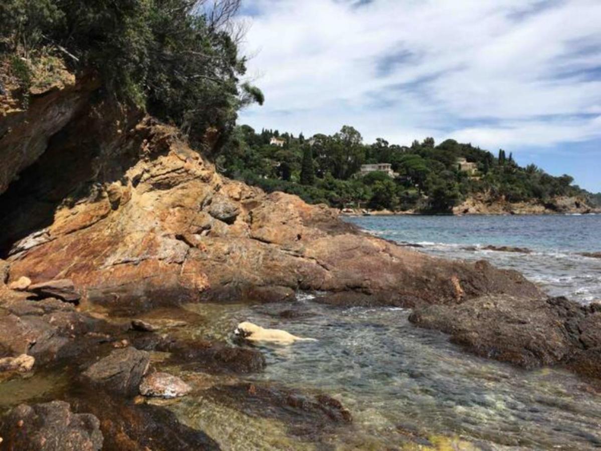 Villa Les Alizes Le Le Rayol-Canadel-sur-Mer Eksteriør bilde