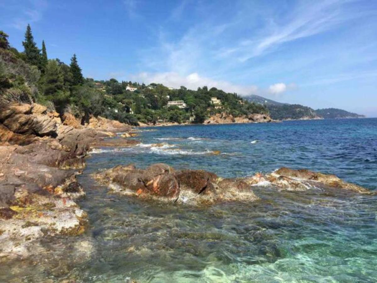 Villa Les Alizes Le Le Rayol-Canadel-sur-Mer Eksteriør bilde