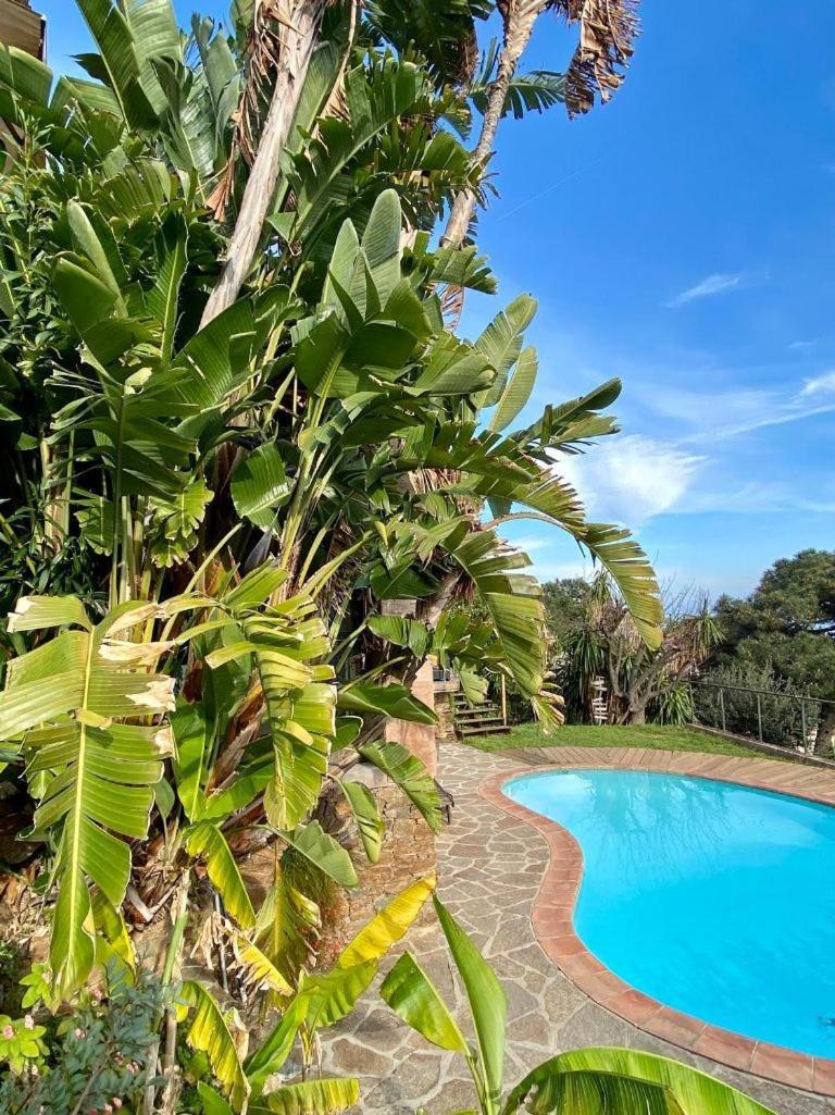 Villa Les Alizes Le Le Rayol-Canadel-sur-Mer Eksteriør bilde